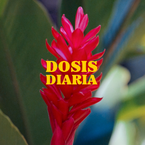 Claudio Tellaeche Rullán